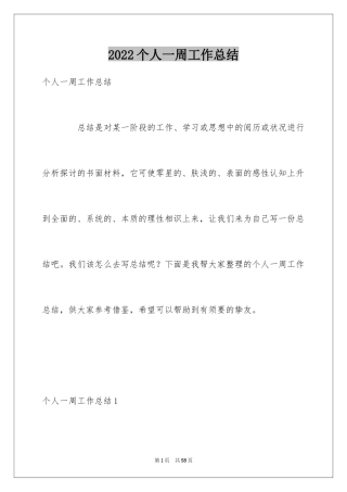 2024个人一周工作总结_2