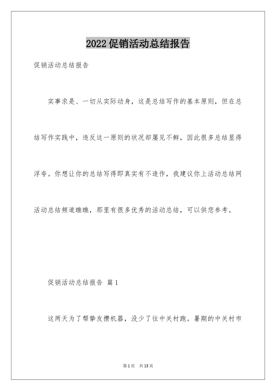 2024促销活动总结报告_第1页