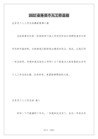 2024业务员个人工作总结_17