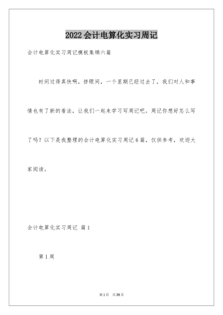 2024会计电算化实习周记