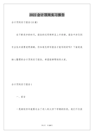 2024会计顶岗实习报告_32