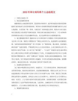 20XX年审计局年终个人总结范文 