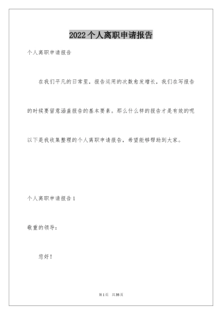 2024个人离职申请报告_3