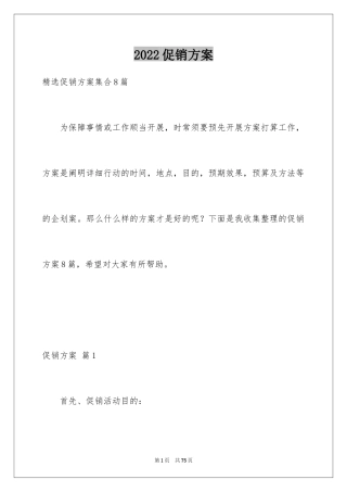 2024促销方案_3