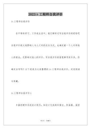 2024it工程师自我评价_3