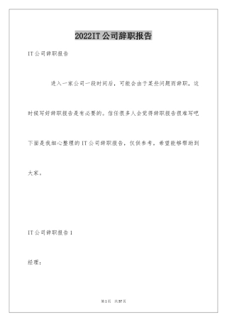 2024IT公司辞职报告_1