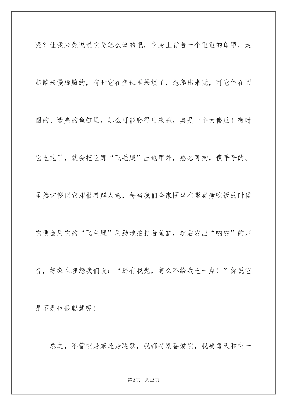 2024乌龟的三年级作文_3_第2页