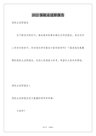 2024保险业述职报告