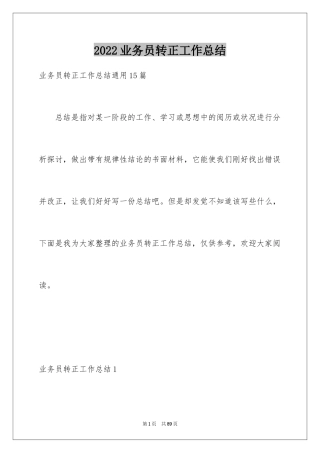 2024业务员转正工作总结