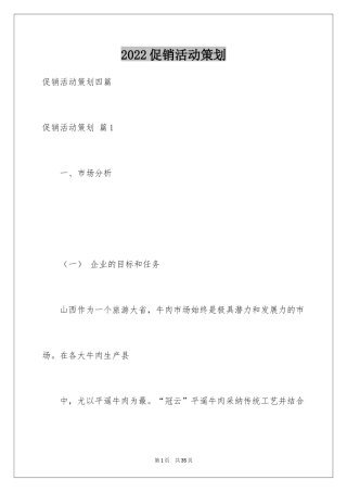 2024促销活动策划_33