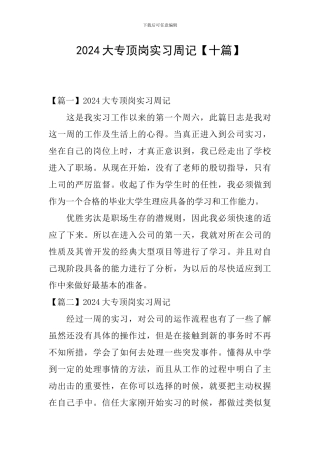 2024大专顶岗实习周记