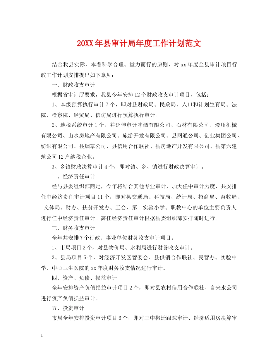 20XX年县审计局年度工作计划范文 _第1页