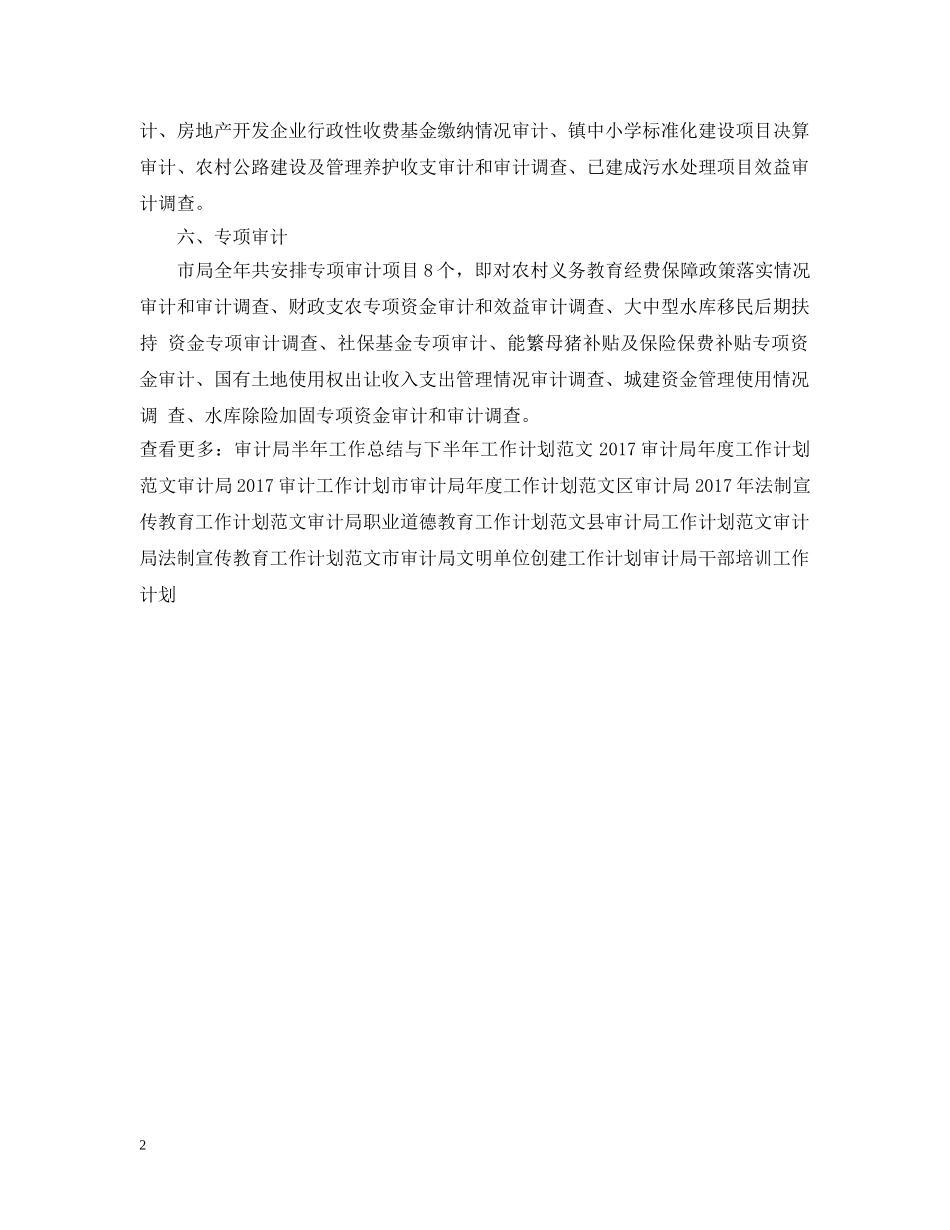 20XX年县审计局年度工作计划范文 _第2页