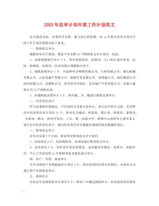 20XX年县审计局年度工作计划范文 