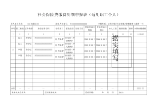 《社会保险费缴费明细申报表(适用职工个人)》(样表) 