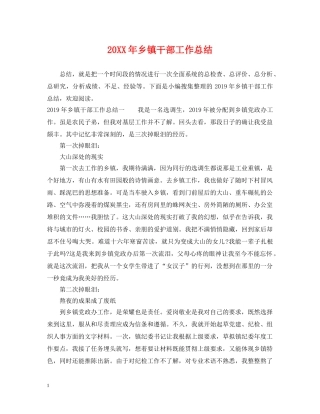 20XX年乡镇干部工作总结 
