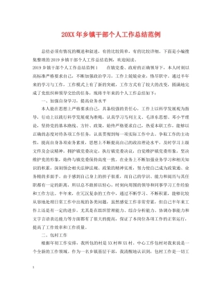 20XX年乡镇干部个人工作总结范例 