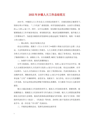 20XX年乡镇人大工作总结范文 