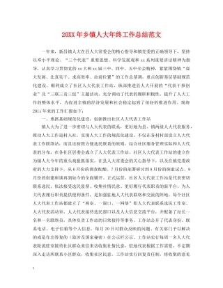 20XX年乡镇人大年终工作总结范文 