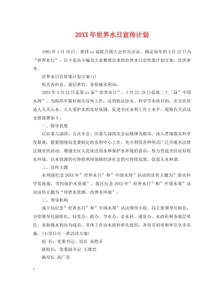 20XX年世界水日宣传计划 