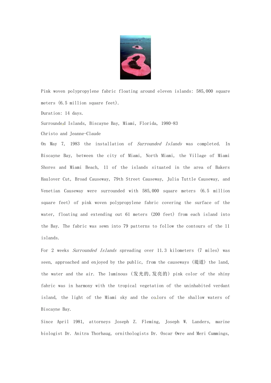 安徽省滁州市第二中学高中英语 Unit22 Environmental Protection The Tenth Period  Language Awareness 7教案 北师大版选修8_第3页