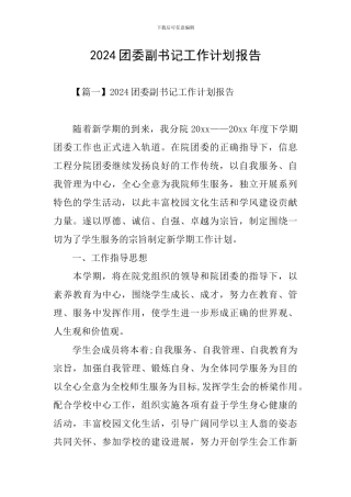 2024团委副书记工作计划报告