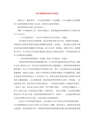 2020财政财务出纳工作总结 