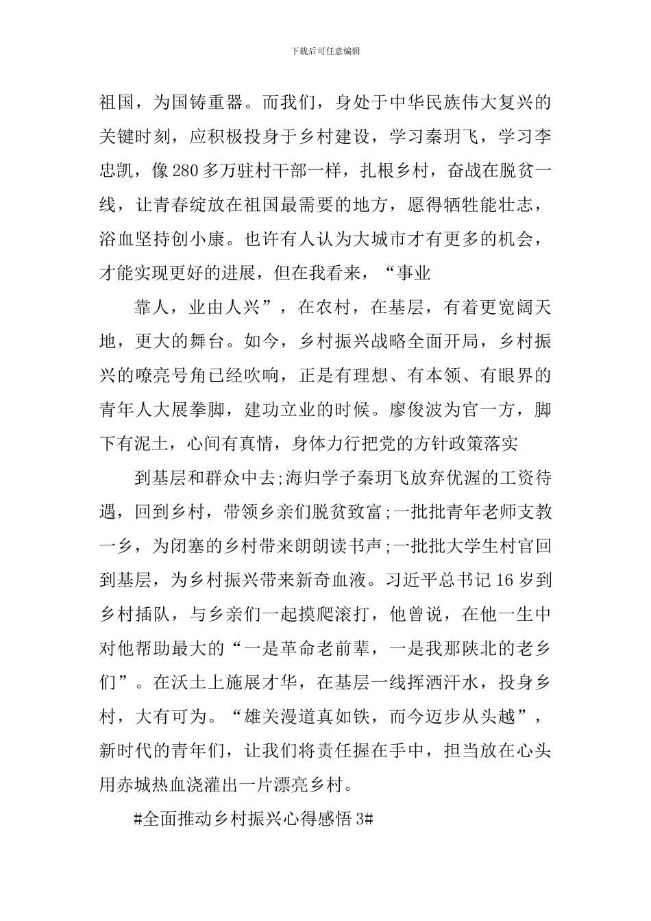 2024年全面推进乡村振兴个人感悟_第3页