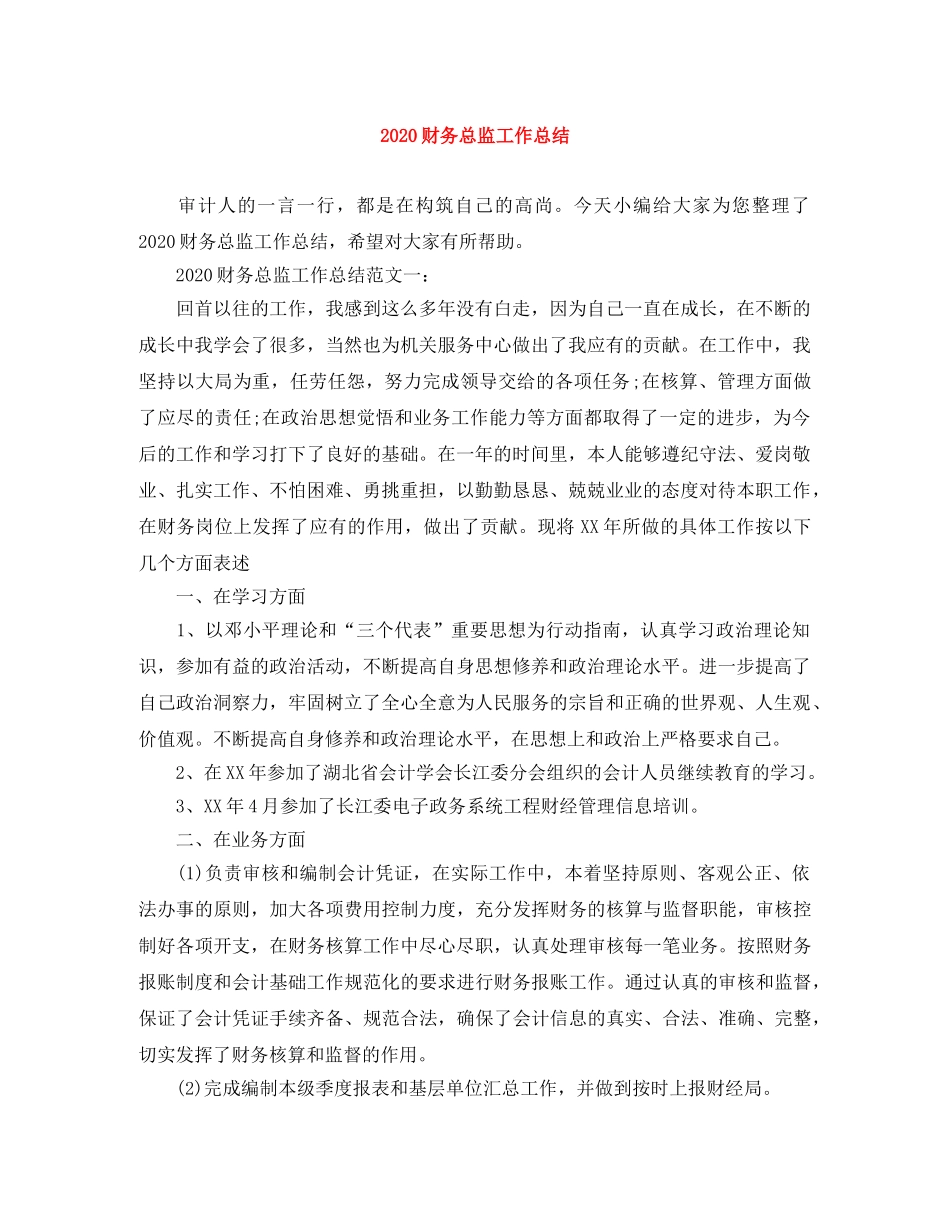 2020财务总监工作总结 _第1页