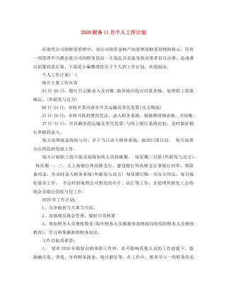 2020财务11月个人工作计划 