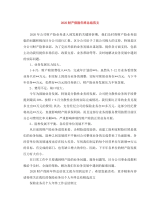 2020财产保险年终总结范文 