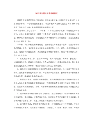 2020计生统计工作总结范文 