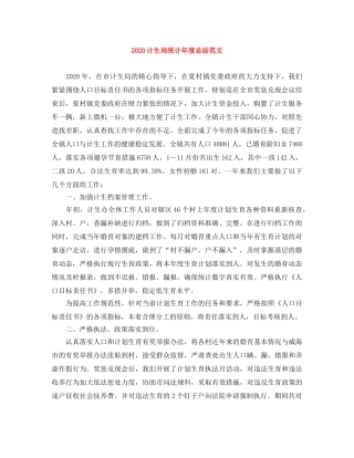 2020计生局统计年度总结范文 