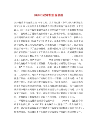 2020行政审批自查总结 