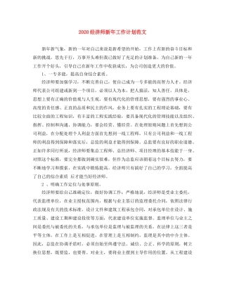 2020经济师新年工作计划范文 