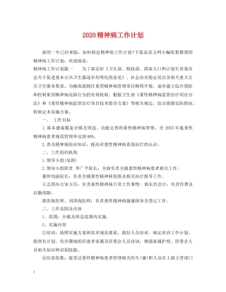 2020精神病工作计划 