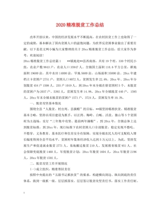 2020精准脱贫工作总结 