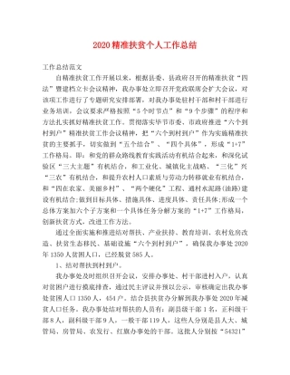 2020精准扶贫个人工作总结 