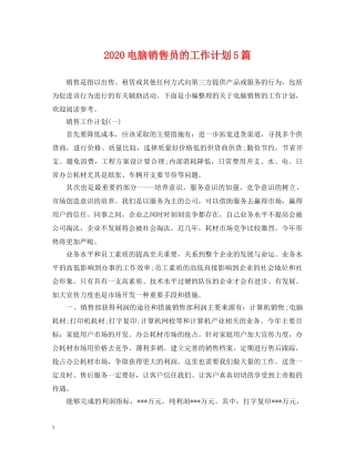 2020电脑销售员的工作计划5篇 