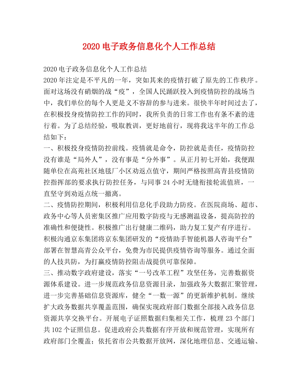 2020电子政务信息化个人工作总结 _第1页