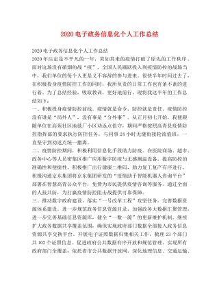 2020电子政务信息化个人工作总结 