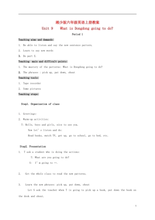 六年级英语上册 Unit 9（2）教案 湘少版