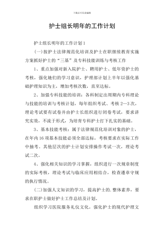 护士组长明年的工作计划
