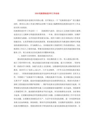 2020民族团结进步年工作总结 