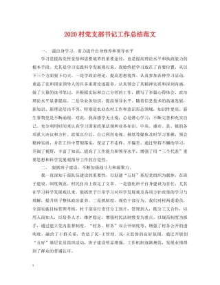 2020村党支部书记工作总结范文 