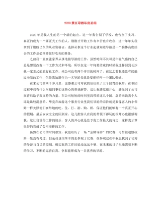 2020景区导游年底总结 