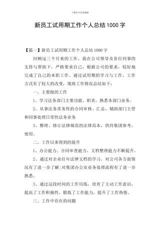 新员工试用期工作个人总结1000字