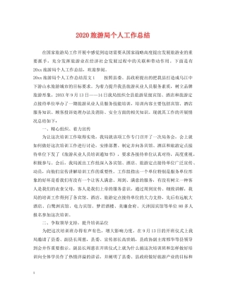 2020旅游局个人工作总结 
