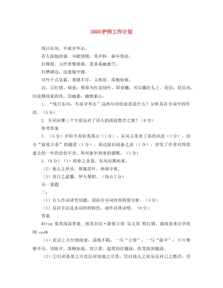 2020护师工作计划 