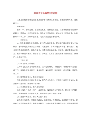 2020护士长助理工作计划 